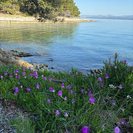 Kaleta Brac * Sutivan